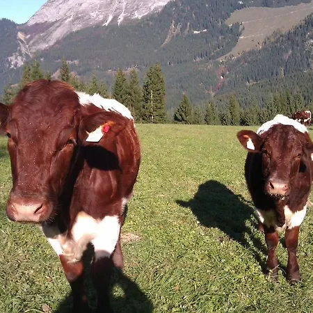 Payrhof Gasthuis Annaberg im Lammertal