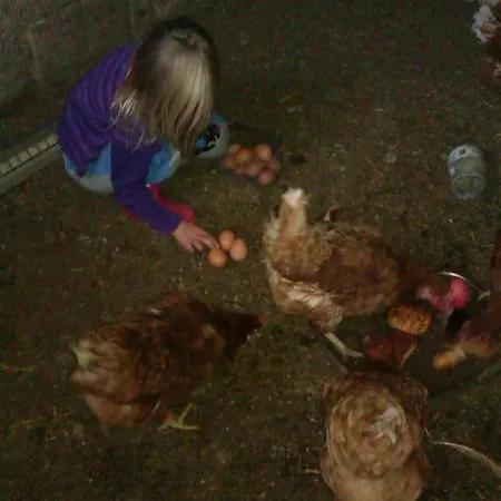 Payrhof Vendégház Annaberg im Lammertal