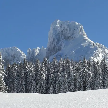 Payrhof Annaberg im Lammertal