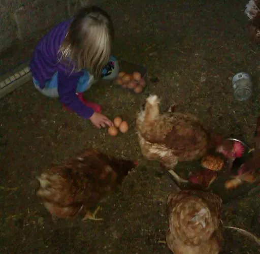 Payrhof בית הארחה אנברג אים לאמרטל