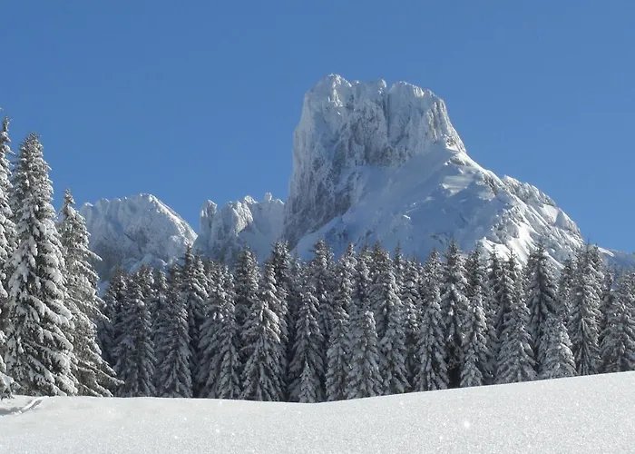 Payrhof אנברג אים לאמרטל
